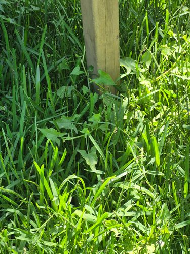 1000027213.jpg 1000027213.jpg