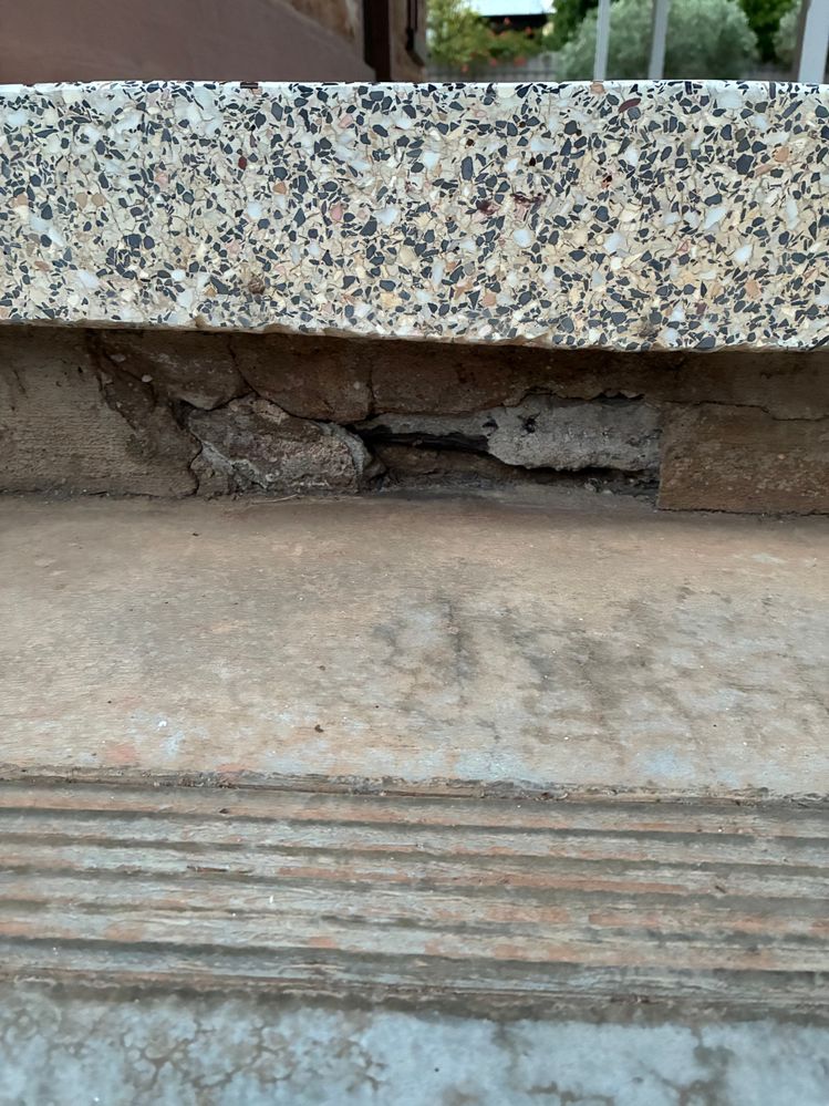 IMG_4271.jpeg IMG_4271.jpeg