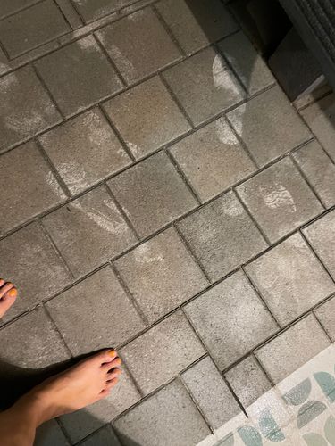 IMG_8765.jpeg IMG_8765.jpeg