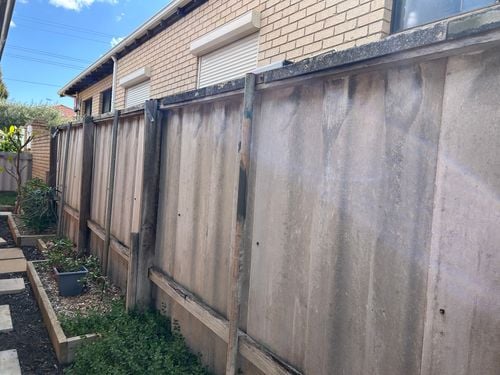 IMG_8935.jpeg IMG_8935.jpeg