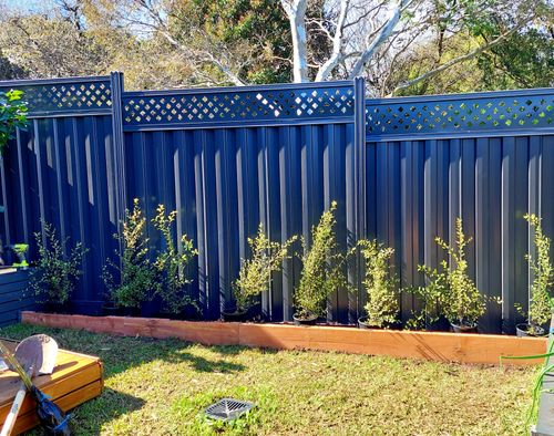 20210828_125610.jpg 20210828_125610.jpg