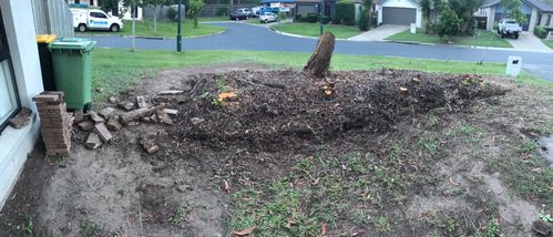 50EA6474-0F7D-48A7-A895-C4E99098A1C4.jpeg 50EA6474-0F7D-48A7-A895-C4E99098A1C4.jpeg