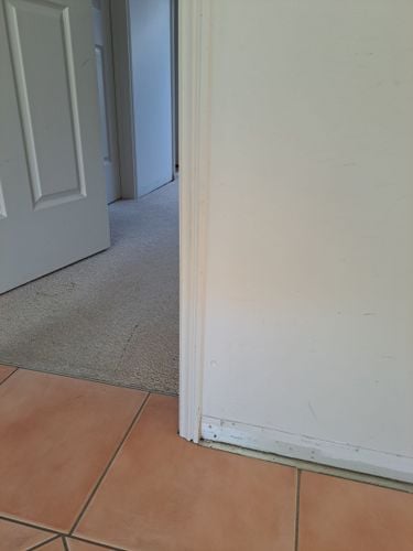 1000024956.jpg 1000024956.jpg