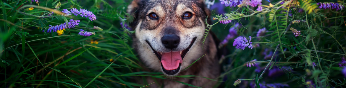 Hero Image Test Blog (60).png Hero Image Test Blog (60).png