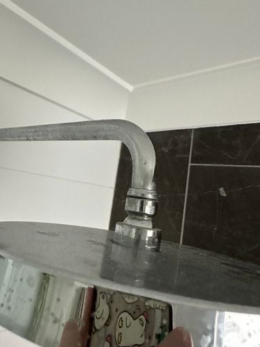 IMG_1513.jpeg IMG_1513.jpeg