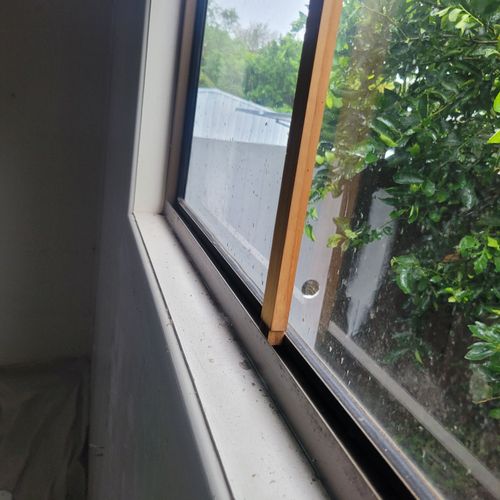 20250310_150313.jpg 20250310_150313.jpg