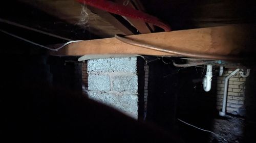 PXL_20240322_052447629.jpg PXL_20240322_052447629.jpg