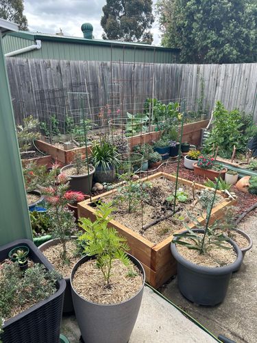 IMG_4104.jpeg IMG_4104.jpeg