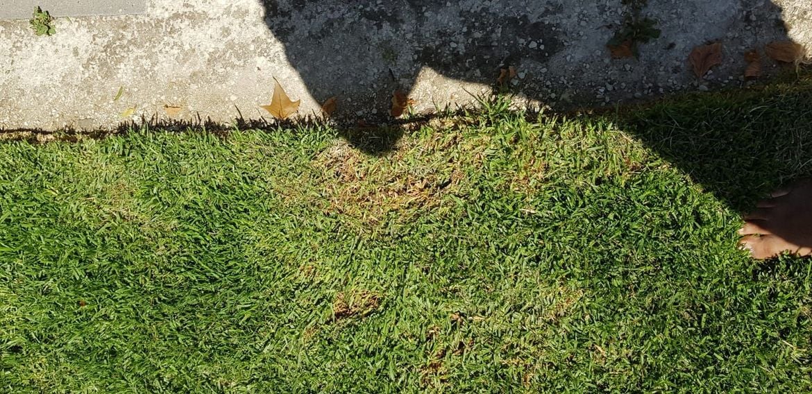 WhatsApp Image 2021-02-23 at 13.13.28.jpeg WhatsApp Image 2021-02-23 at 13.13.28.jpeg