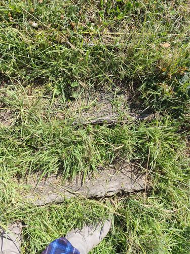 1000010263.jpg 1000010263.jpg