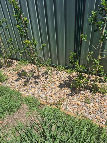 1000027217.jpg 1000027217.jpg