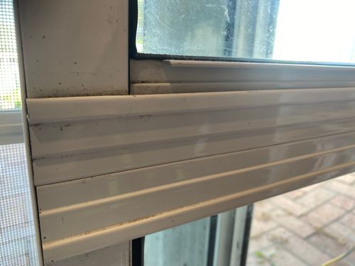 IMG_5687.jpg IMG_5687.jpg