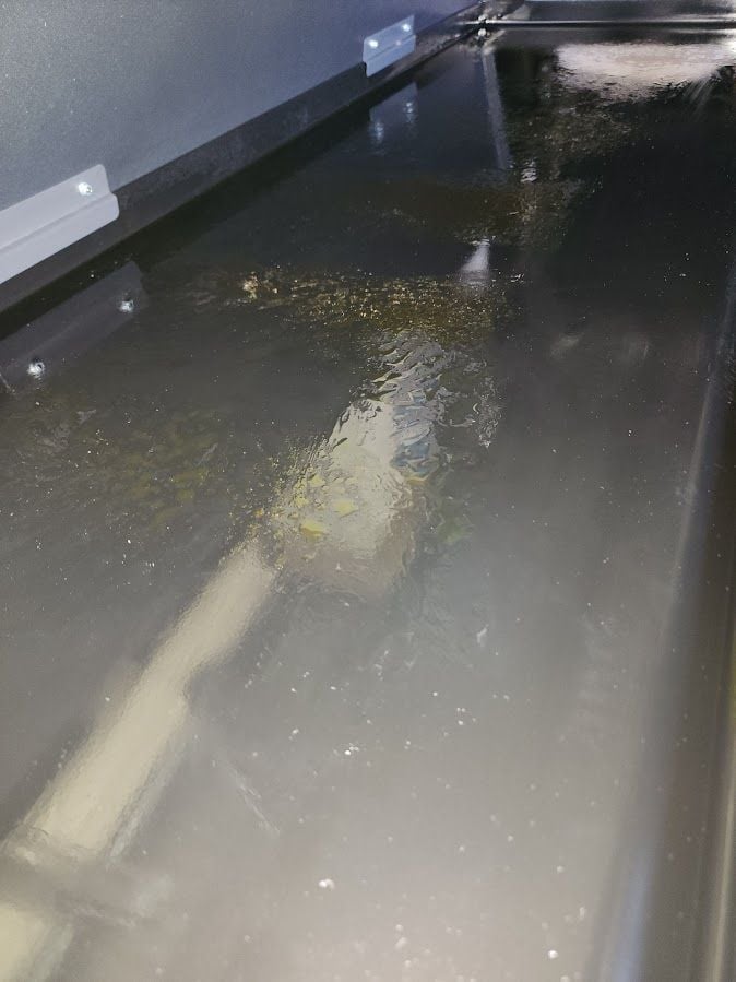 20250325_125111.jpg 20250325_125111.jpg