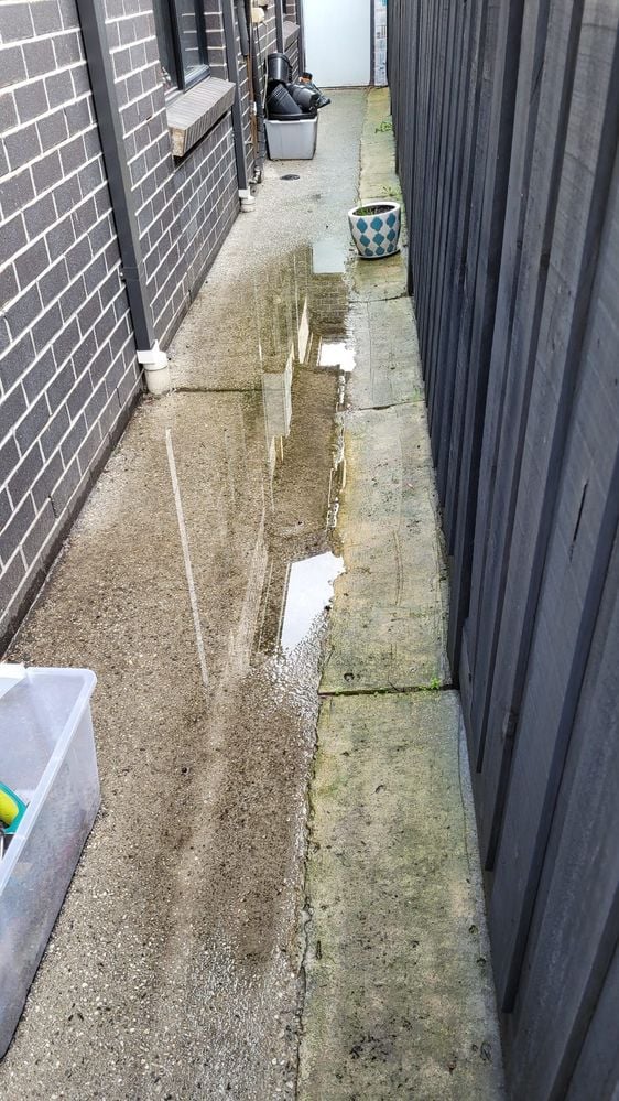 WhatsApp Image 2025-06-13 at 14.19.00.jpeg WhatsApp Image 2025-06-13 at 14.19.00.jpeg