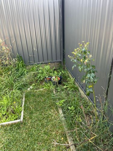 IMG_4223.jpeg IMG_4223.jpeg