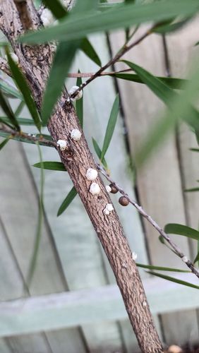 20260102_184732.jpg 20260102_184732.jpg