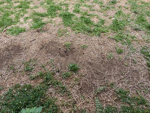 IMG_4359.jpeg IMG_4359.jpeg