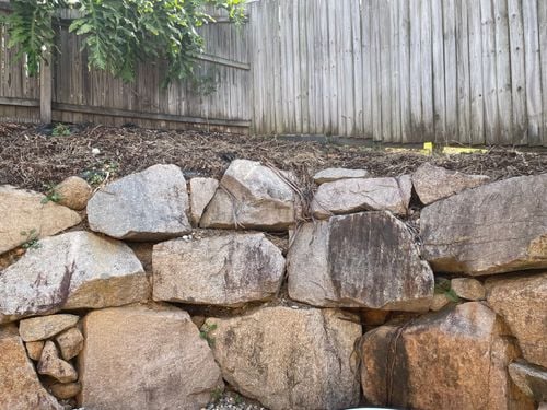 IMG_8577.jpeg IMG_8577.jpeg