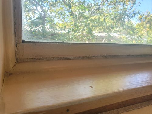 20200901_121721.jpg 20200901_121721.jpg