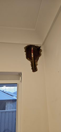 1000080131.jpg 1000080131.jpg