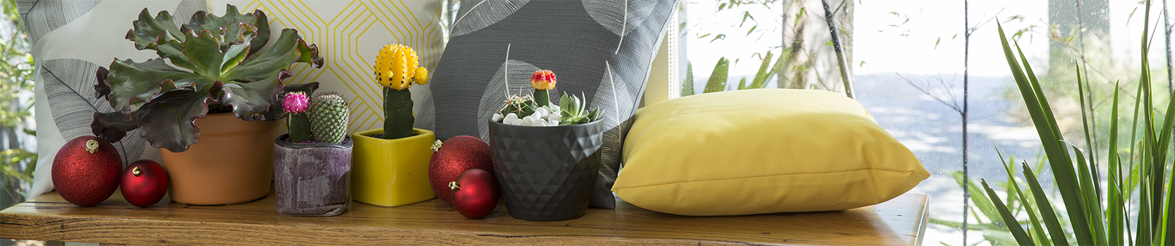 Christmas Decor.png Christmas Decor.png