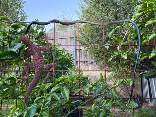 4C018E9A-B373-40E6-BF54-0FD59B728C78.jpeg 4C018E9A-B373-40E6-BF54-0FD59B728C78.jpeg