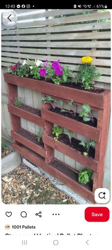 Screenshot_20250731_124355_Pinterest.jpg Screenshot_20250731_124355_Pinterest.jpg