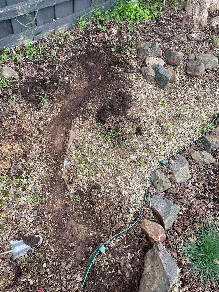 456081587_1887130731768713_7685174421435226684_n.jpg 456081587_1887130731768713_7685174421435226684_n.jpg