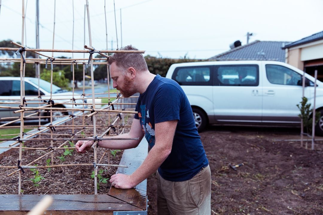 815A3194.jpg 815A3194.jpg