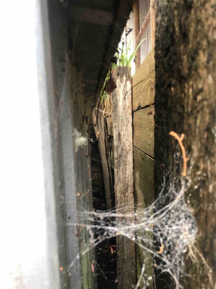 IMG_8489.jpeg IMG_8489.jpeg