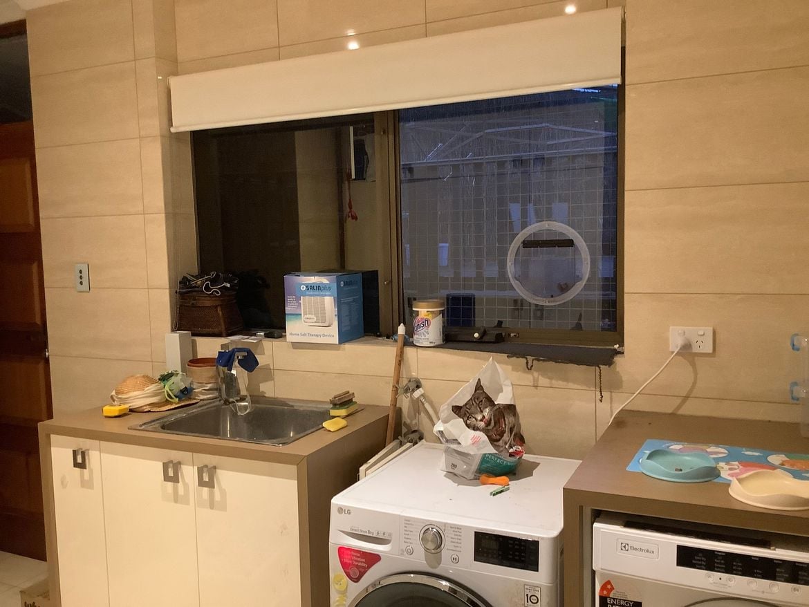 18BD6B58-D07E-49BE-BF68-5A92225A5AD4.jpeg 18BD6B58-D07E-49BE-BF68-5A92225A5AD4.jpeg