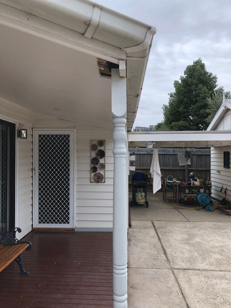 IMG_1223 - Copy - Copy.JPG IMG_1223 - Copy - Copy.JPG