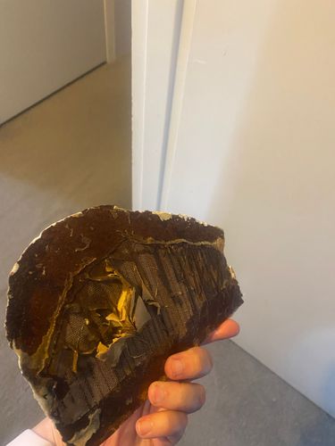 IMG_1790.jpeg IMG_1790.jpeg