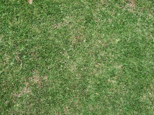 1000003785.jpg 1000003785.jpg