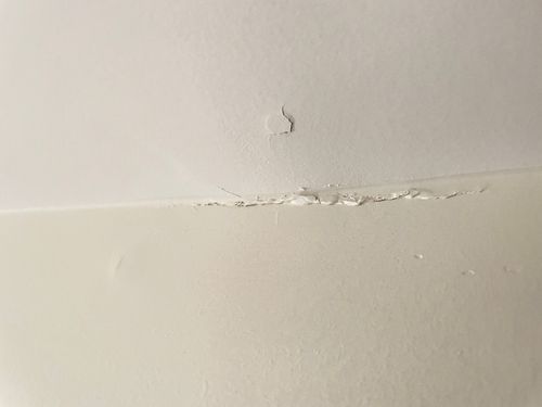 IMG_5486.jpeg IMG_5486.jpeg