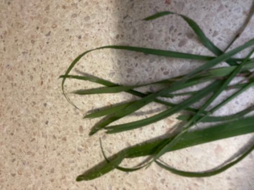 IMG_4506.jpeg IMG_4506.jpeg