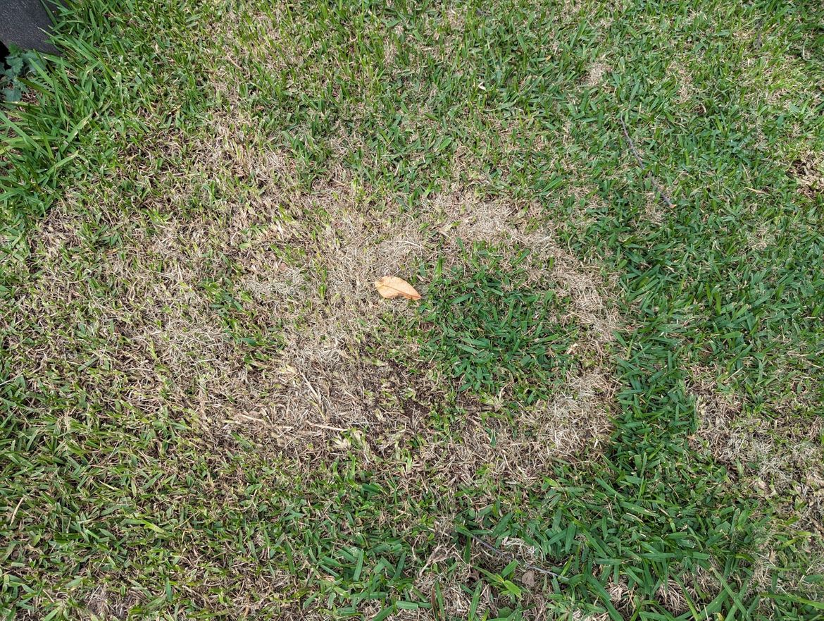 WhatsApp Image 2024-04-01 at 9.22.28 AM (2).jpeg WhatsApp Image 2024-04-01 at 9.22.28 AM (2).jpeg