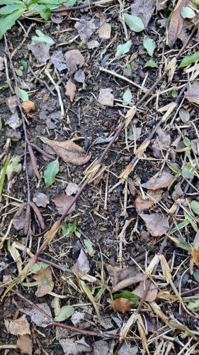 1000030892.jpg 1000030892.jpg