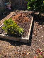 IMG_7202.JPG IMG_7202.JPG