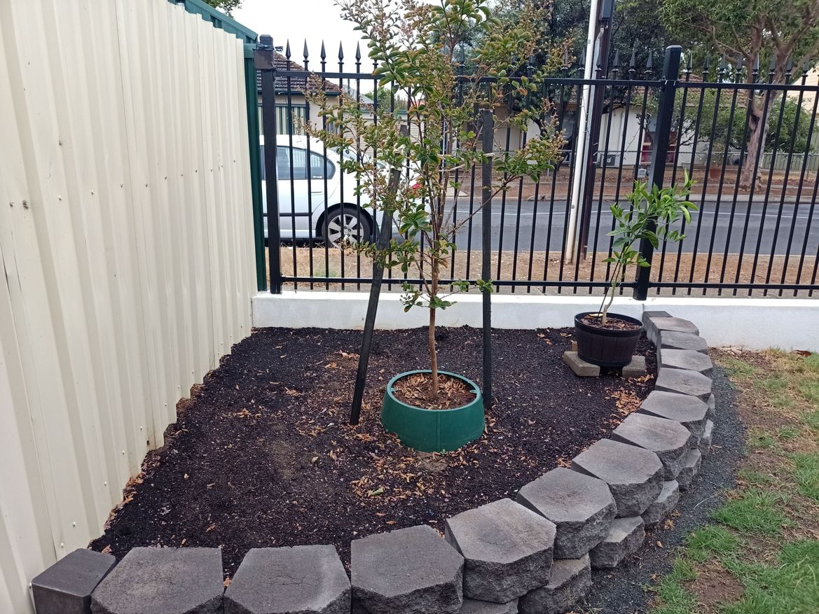 image.jpeg image.jpeg