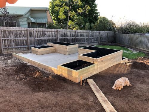 IMG_6322.jpeg IMG_6322.jpeg