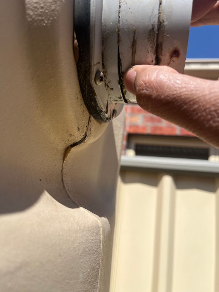 IMG_6317.jpg IMG_6317.jpg