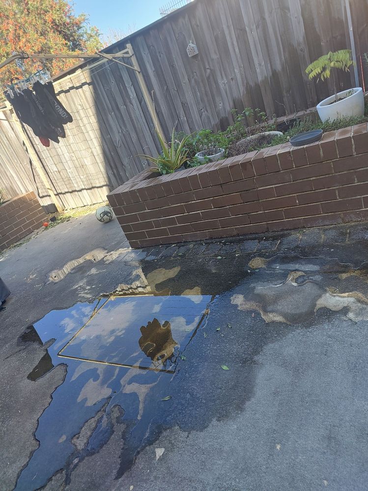 Media (3).jfif Media (3).jfif