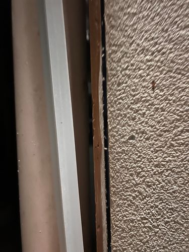 IMG_7687.jpeg IMG_7687.jpeg