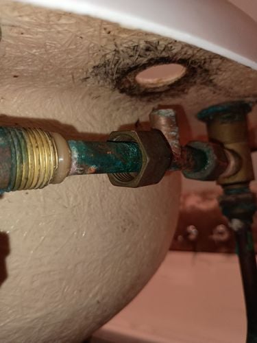 1000000482.jpg 1000000482.jpg