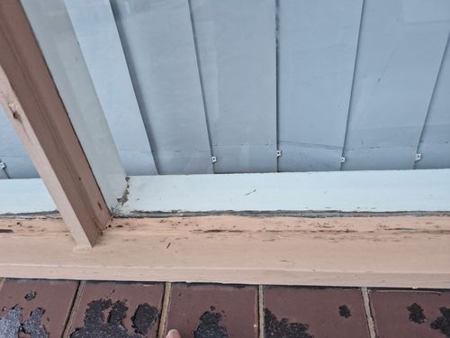 1000085082.jpg 1000085082.jpg