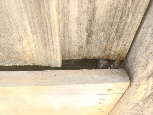 IMG20230109162600.jpg IMG20230109162600.jpg