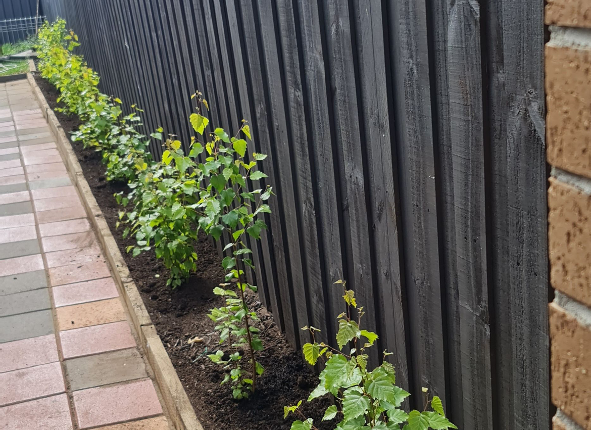 Nikkaz.png Nikkaz.png