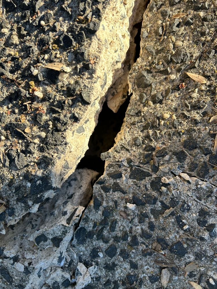 IMG_1118.jpg IMG_1118.jpg