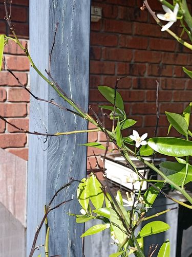 IMG20230924151202.jpg IMG20230924151202.jpg